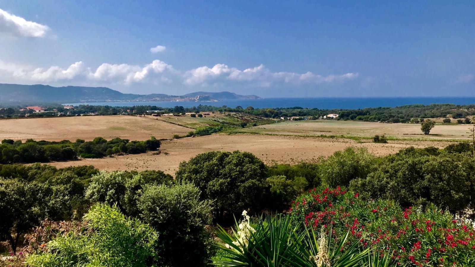 Villa La Vista Lumio  Dış mekan fotoğraf