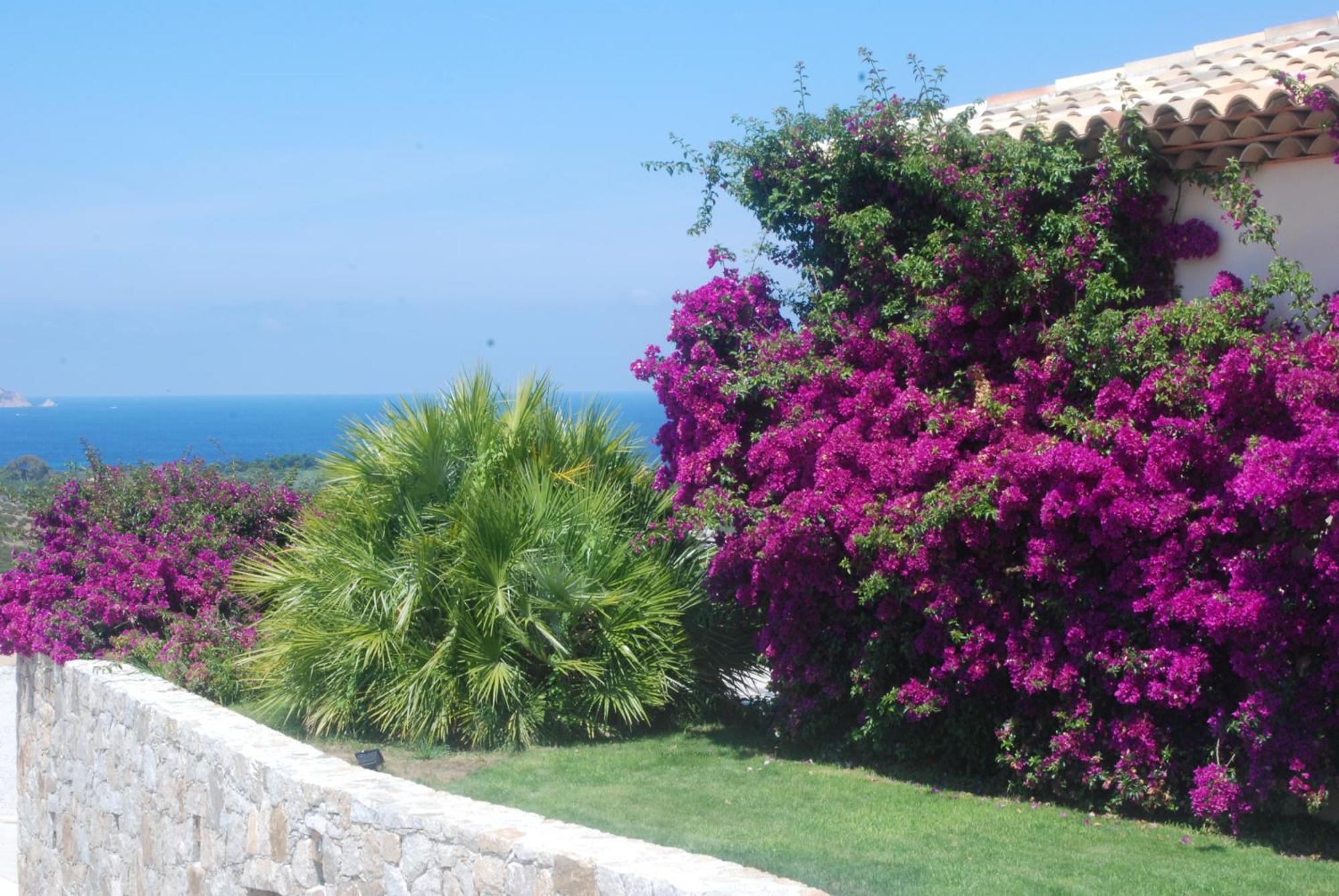 Villa La Vista Lumio  Dış mekan fotoğraf